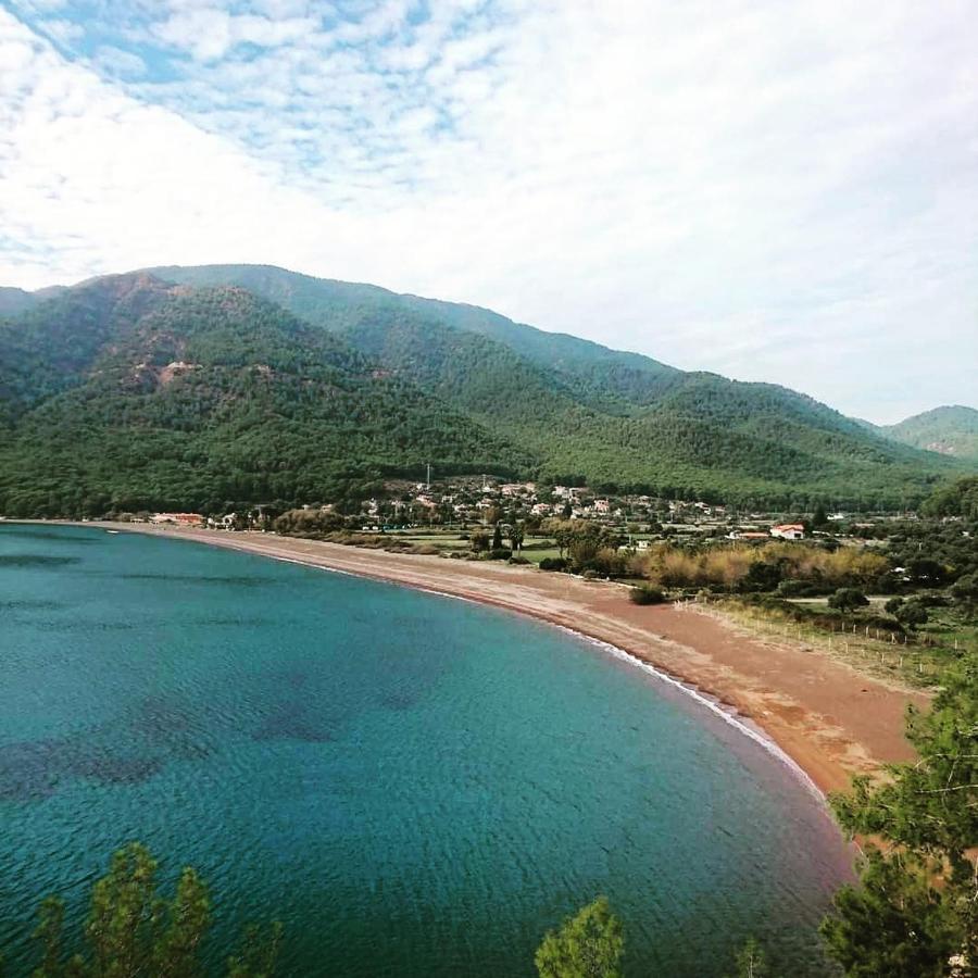 Olive Tree Apart Hotel Muğla Exterior foto