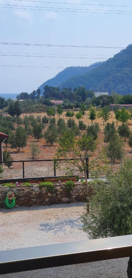 Olive Tree Apart Hotel Muğla Exterior foto